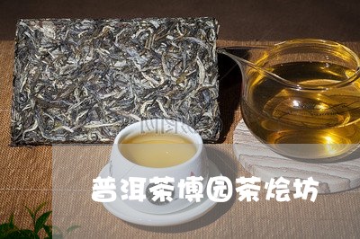 普洱茶博园茶烩坊/2023112488374