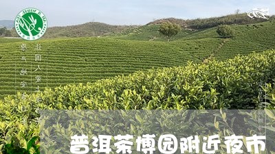 普洱茶博园附近夜市/2023101747269