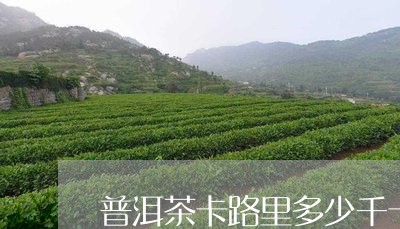 普洱茶卡路里多少千卡热量/2023112920693