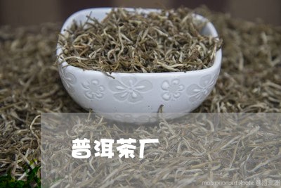 普洱茶厂/2023110899584