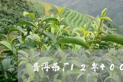 普洱茶厂12年400克古董茶/2023102541935