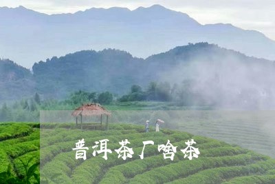 普洱茶厂啥茶/2023042754507