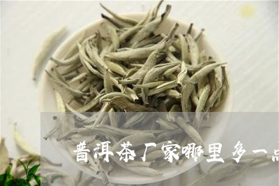 普洱茶厂家哪里多一点生茶/2023121694747