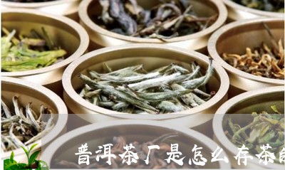 普洱茶厂是怎么存茶的/2023120669494