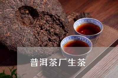 普洱茶厂生茶/2023042807388