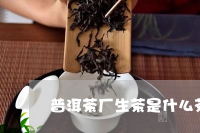 普洱茶厂生茶是什么茶/2023080349585