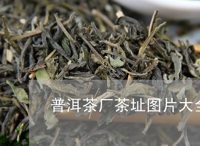 普洱茶厂茶址图片大全大图/2023112501514