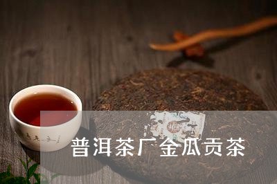 普洱茶厂金瓜贡茶/2023120479514