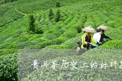 普洱茶历史上的标杆茶/2023062213027