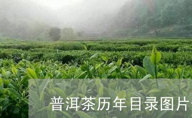 普洱茶历年目录图片价格/2023050650624