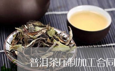 普洱茶压制加工合同/2023091393895