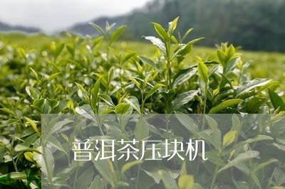 普洱茶压块机/2023042571746