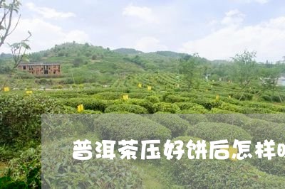 普洱茶压好饼后怎样晾干/2023082470726