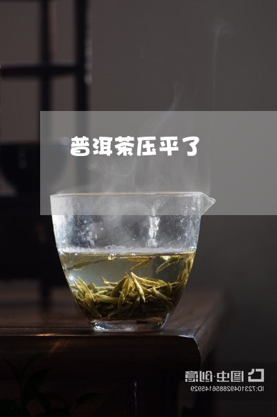 普洱茶压平了/2023042743167