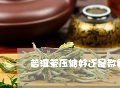 普洱茶压缩好还是散好/2023092949603