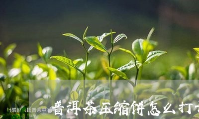 普洱茶压缩饼怎么打开的/2023110174737