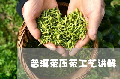 普洱茶压茶工艺讲解/2023091427159