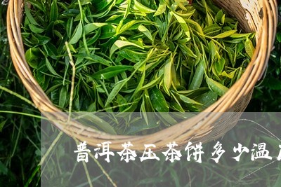 普洱茶压茶饼多少温度/2023080357350