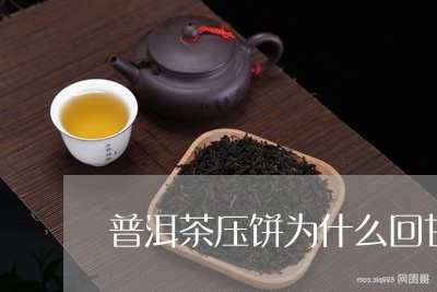 普洱茶压饼为什么回甘/2023062995047