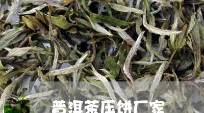 普洱茶压饼厂家/2023101671402