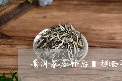 普洱茶压饼后哂棚晒干/2023092922047