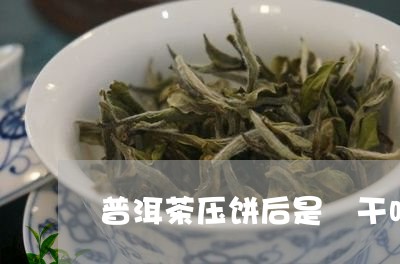 普洱茶压饼后是嗮干吗/2023062004140