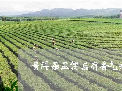 普洱茶压饼后有香气吗/2023092861703