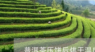 普洱茶压饼后烘干温度/2023062366959