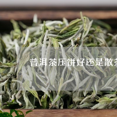 普洱茶压饼好还是散茶好呢百度/2023053052815