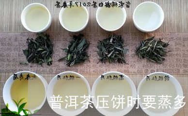 普洱茶压饼时要蒸多久/2023092948404