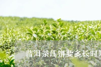 普洱茶压饼要多长时间/2023092694938