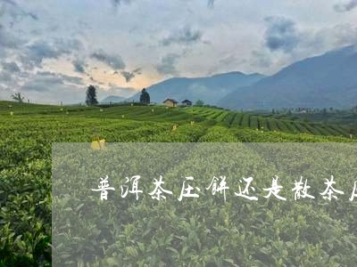 普洱茶压饼还是散茶压饼好/2023112484031