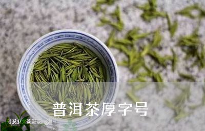 普洱茶厚字号/2023042867186