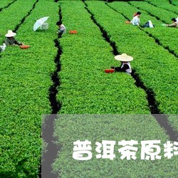 普洱茶原料供应链分析/2023092563624