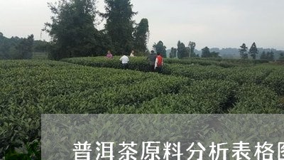 普洱茶原料分析表格图解/2023082903926