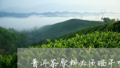 普洱茶原料必须晒干吗/2023100614828