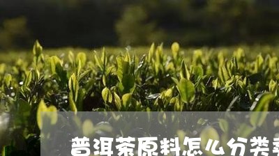 普洱茶原料怎么分类卖出/2023081725936