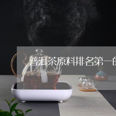 普洱茶原料排名第一的品牌/2023082852704