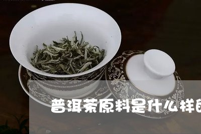 普洱茶原料是什么样的/2023061634825