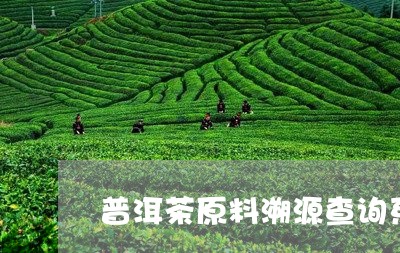 普洱茶原料溯源查询系统/2023081687371