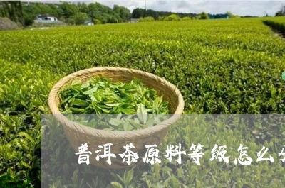 普洱茶原料等级怎么分/2023062722725