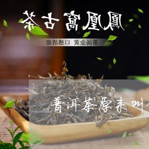 普洱茶原来叫什么名字/2023093076261