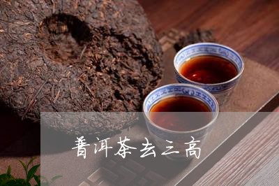 普洱茶去三高/2023042838750