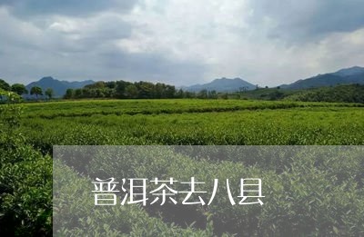 普洱茶去八县/2023042864358