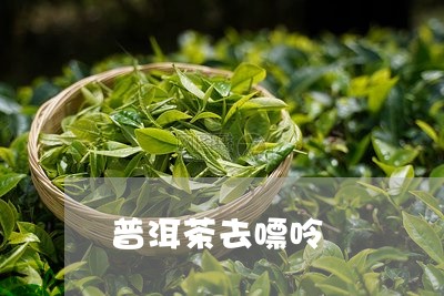 普洱茶去嘌呤/2023042843597