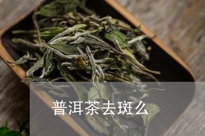 普洱茶去斑么/2023042528339