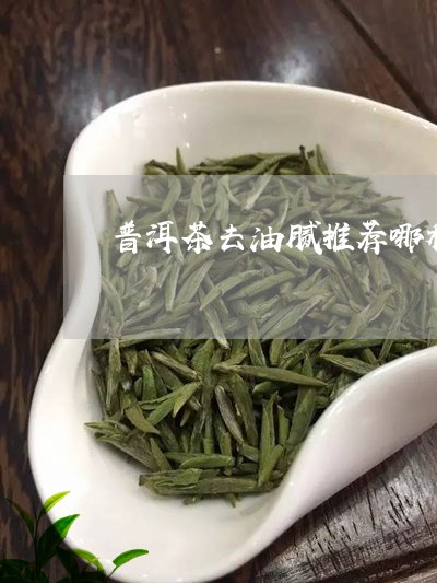 普洱茶去油腻推荐哪种好/2023050670505