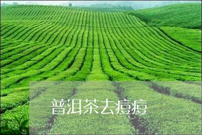 普洱茶去痘痘/2023042954973