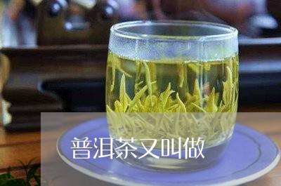 普洱茶又叫做/2023042840451