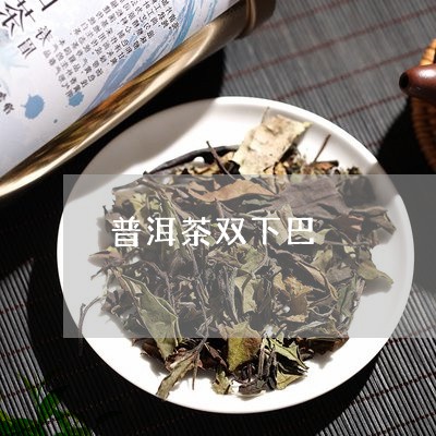 普洱茶双下巴/2023042684624